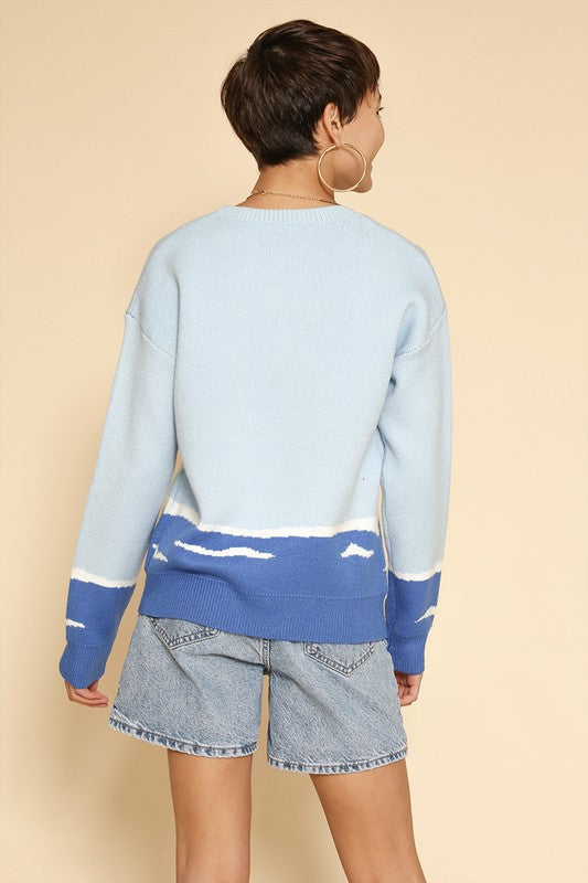 Dolphin knit sweater