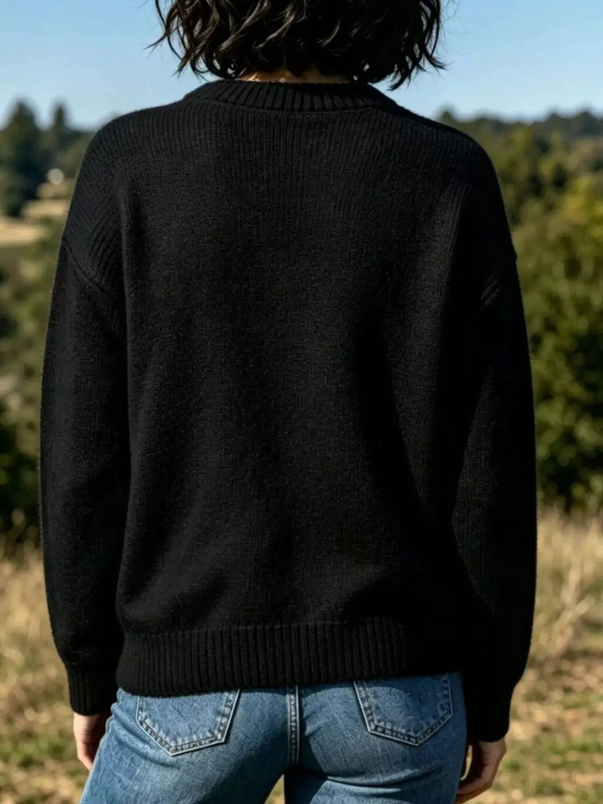 Lobster Graphic Crew Neck Sweater by Trendsi