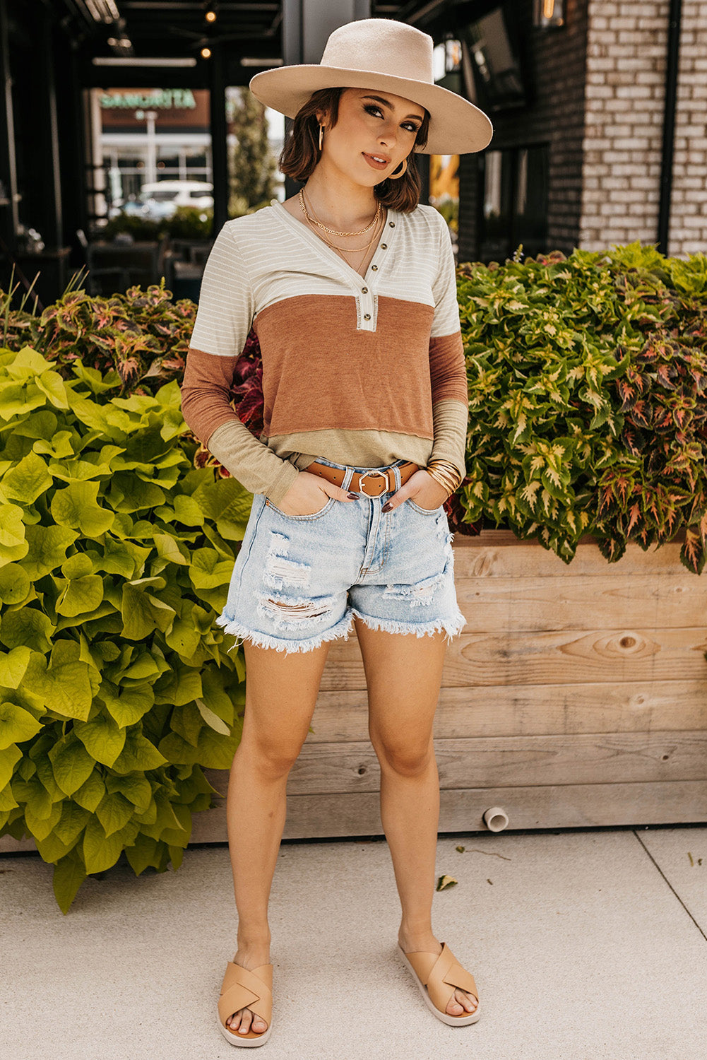 Color Block V-Neck Long Sleeve Top