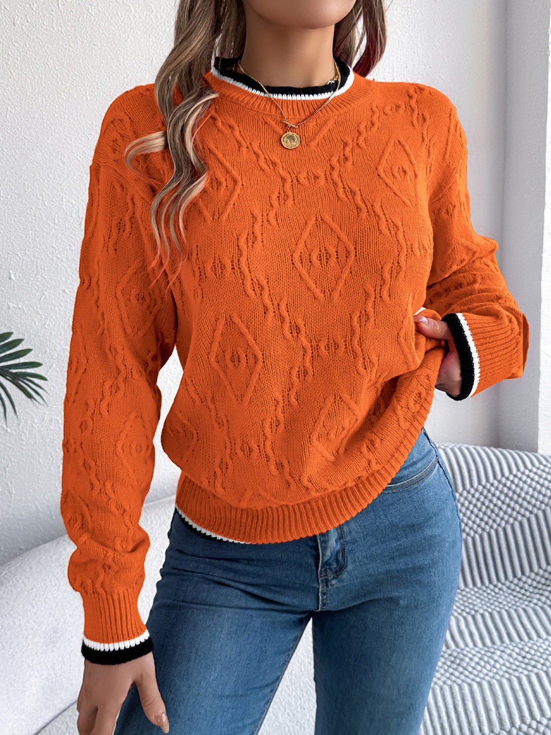 Contrast Trim Round Neck Long Sleeve Sweater - Bitsy Gypsy Boutique