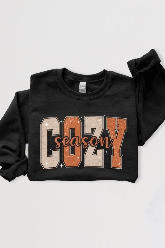 Cozy Season Graphic Fleece Sweatshirts - Bitsy Gypsy Boutique