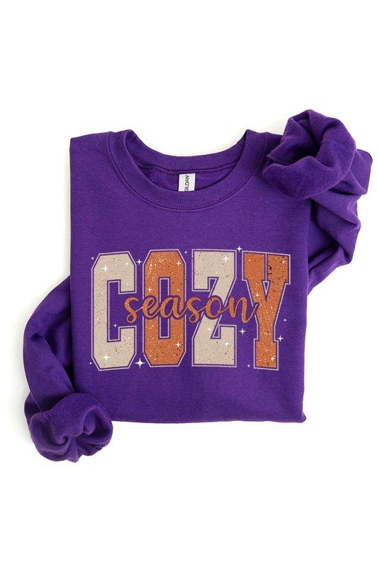 Cozy Season Graphic Fleece Sweatshirts - Bitsy Gypsy Boutique