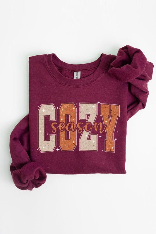 Cozy Season Graphic Fleece Sweatshirts - Bitsy Gypsy Boutique