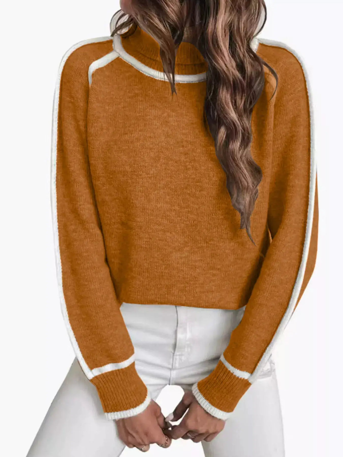 Full Size Contrast Trim Ribbed Hem Turtleneck Sweater Plus Size by Trendsi