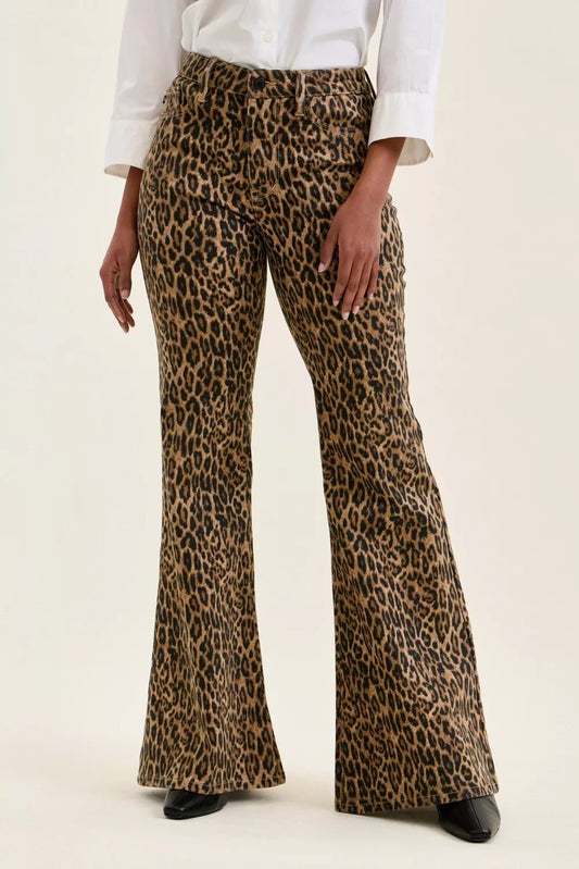 Judy Blue Mr Jaqueline Flare Print Leopard Jeans - Bitsy Gypsy Boutique