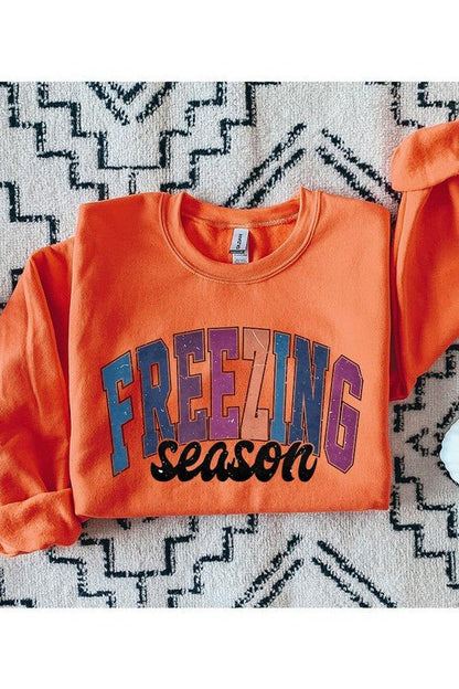 Literally Freezing Winter SWEATSHIRT - Bitsy Gypsy Boutique
