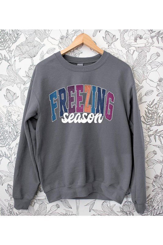 Literally Freezing Winter SWEATSHIRT - Bitsy Gypsy Boutique