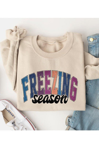 Literally Freezing Winter SWEATSHIRT - Bitsy Gypsy Boutique