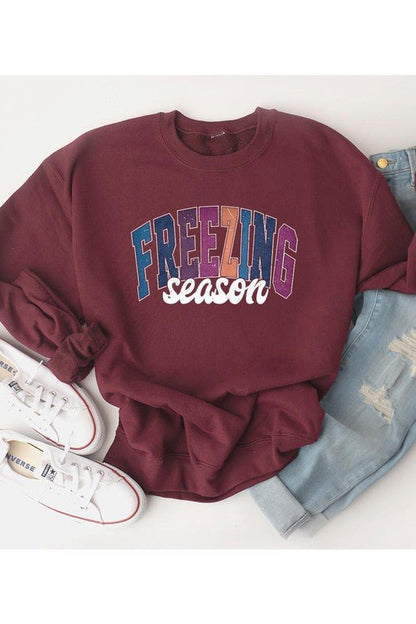 Literally Freezing Winter SWEATSHIRT - Bitsy Gypsy Boutique