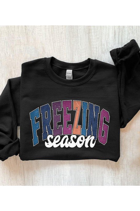 Literally Freezing Winter SWEATSHIRT - Bitsy Gypsy Boutique