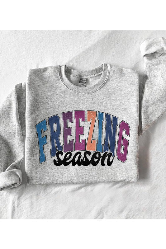 Literally Freezing Winter SWEATSHIRT - Bitsy Gypsy Boutique
