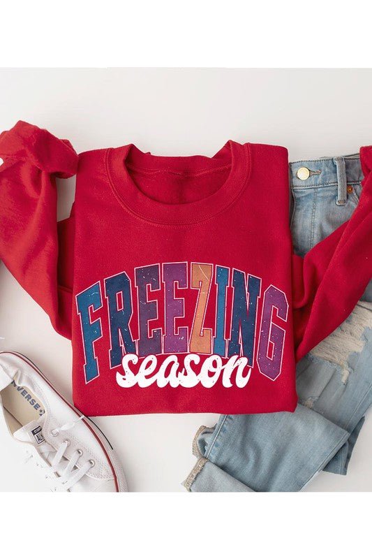 Literally Freezing Winter SWEATSHIRT - Bitsy Gypsy Boutique