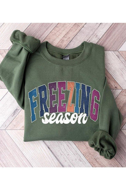 Literally Freezing Winter SWEATSHIRT - Bitsy Gypsy Boutique