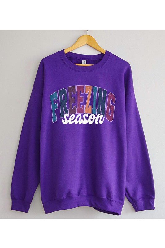 Literally Freezing Winter SWEATSHIRT - Bitsy Gypsy Boutique