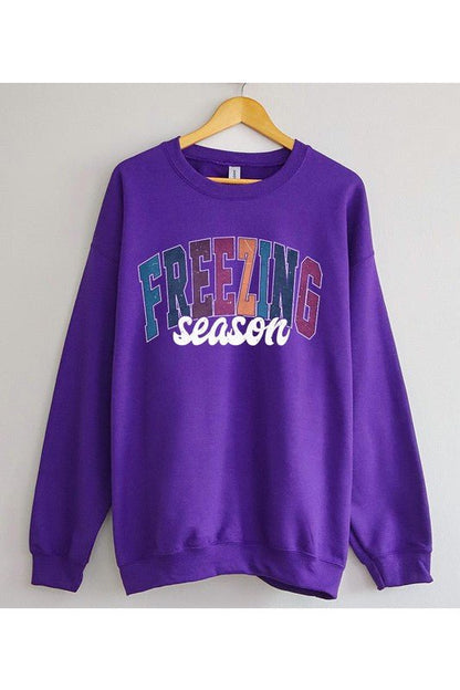 Literally Freezing Winter SWEATSHIRT - Bitsy Gypsy Boutique