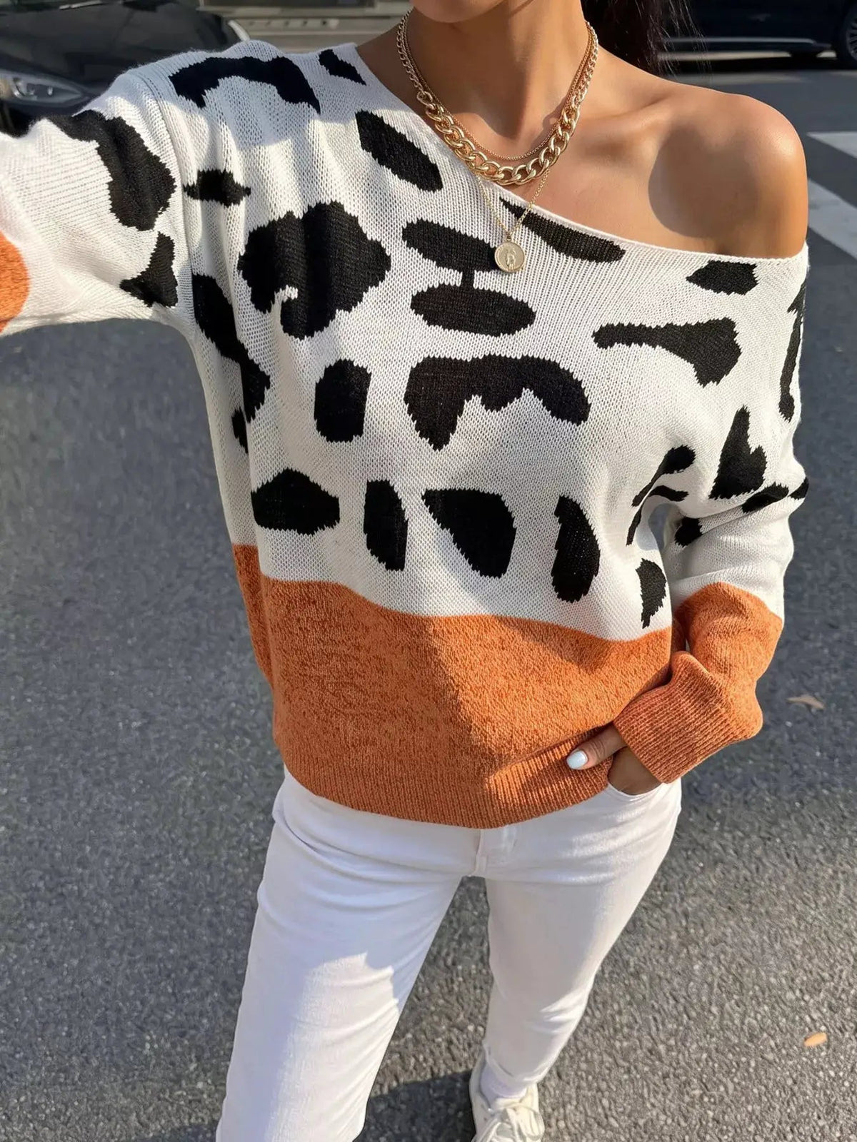 Off-Shoulder Animal Print Colorblock Sweater - Bitsy Gypsy Boutique