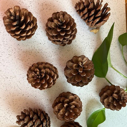 Pinecones - bag of 10 - Bitsy Gypsy Boutique
