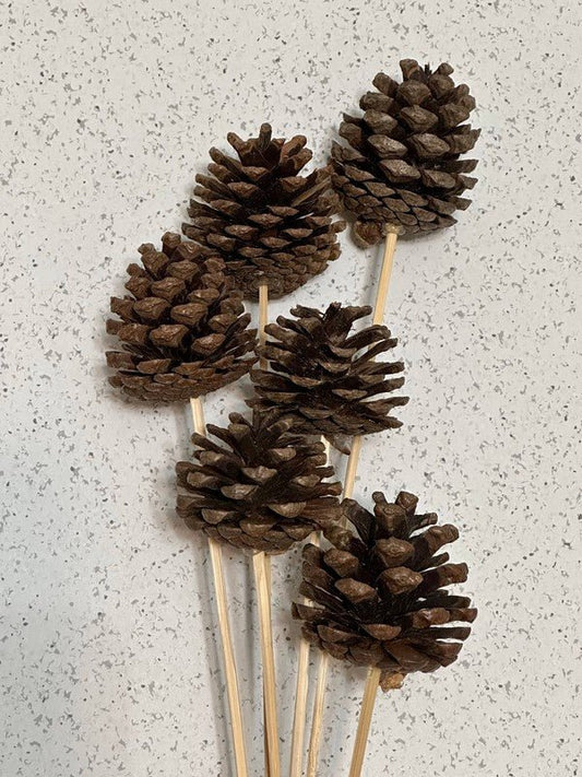 Pinecones on a stick - Bitsy Gypsy Boutique