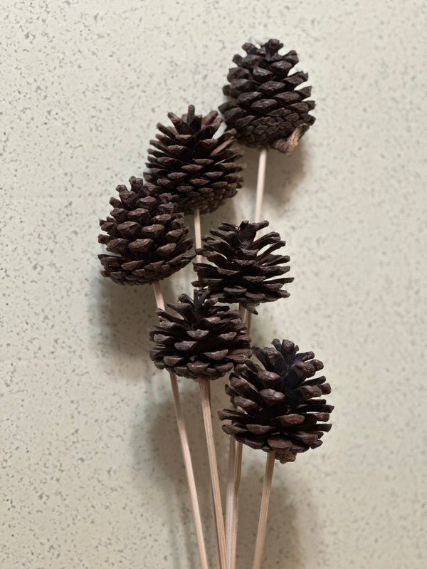 Pinecones on a stick - Bitsy Gypsy Boutique