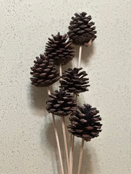 Pinecones on a stick - Bitsy Gypsy Boutique