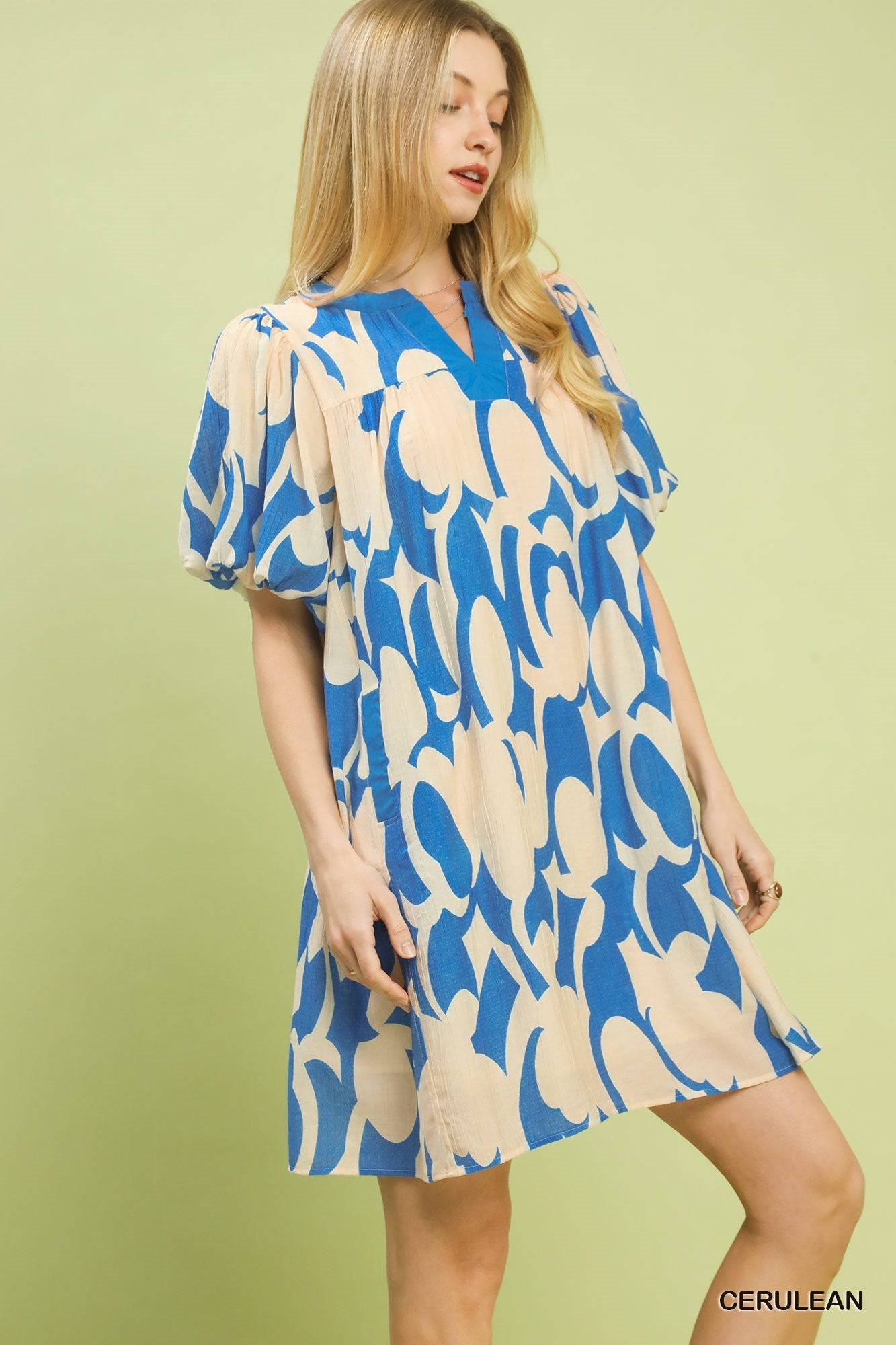 Umgee Abstract Print Puff Sleeve Shift Dress - Bitsy Gypsy Boutique