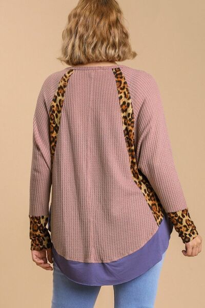 Umgee Full Size Leopard High - Low Dolman Sleeve Waffle Knit Top Plus Size - Bitsy Gypsy Boutique